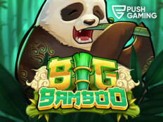 Bedava slot casino oyunları4